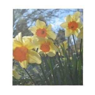 Schöne, gelbe, orangefarbene Blume Notizblock