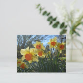 Schöne, gelbe, orangefarbene Blume Postkarte (Stehend Vorderseite)