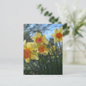 Schöne, gelbe, orangefarbene Blume Postkarte (Stehend Vorderseite)