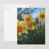 Schöne, gelbe, orangefarbene Blume Postkarte (Vorne/Hinten)