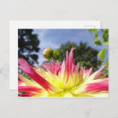 Schöne Gelbe Rosa Dahlia DIY Postkarte (Vorne/Hinten)