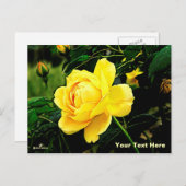 Schöne Gelbe Rose Feiertagspostkarte (Vorne/Hinten)
