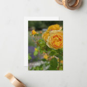 Schöne Gelbe Rose Mitteilungskarte (Vorderseite/Rückseite Beispiel)