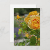 Schöne Gelbe Rose Mitteilungskarte (Vorne/Hinten)
