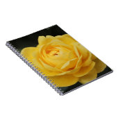 Schöne gelbe Rose Notizblock (Rechte Seite)