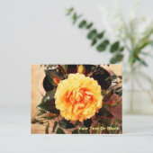 Schöne Gelbe Rose Postkarte (Stehend Vorderseite)