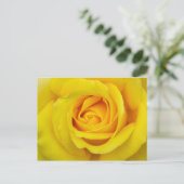 Schöne Gelbe Rose Postkarte (Stehend Vorderseite)