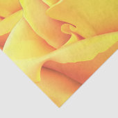 Schöne Gelbe Rose Seidenpapier (Ausschnitt)