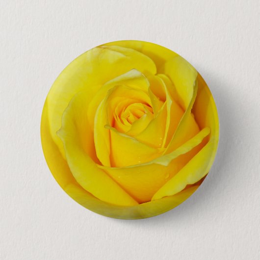 Schöne gelbe Rosenblätter Button (Vorderseite)