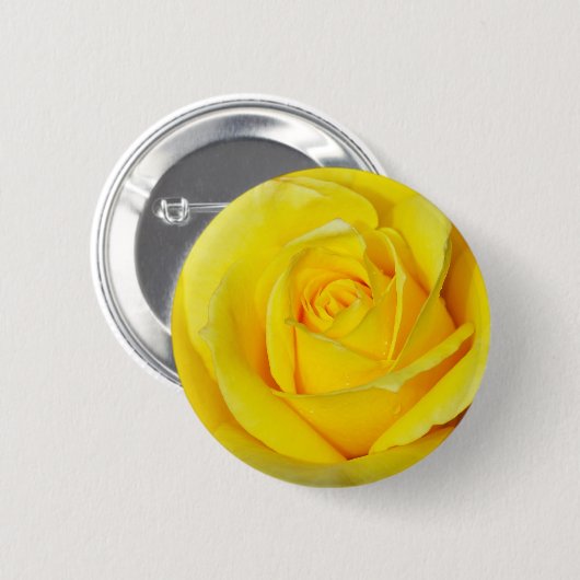Schöne gelbe Rosenblätter Button (Vorne & Hinten)