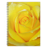 Schöne gelbe Rosenblätter Notizblock (Vorderseite)