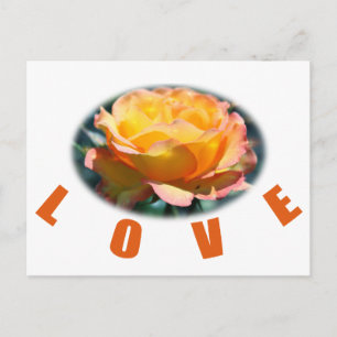 schöne gelbe Rosenblumen-Foto-Kunst-Liebesgeschenk Postkarte