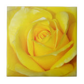 Schöne gelbe Rosenblumenblätter Fliese (Vorderseite)