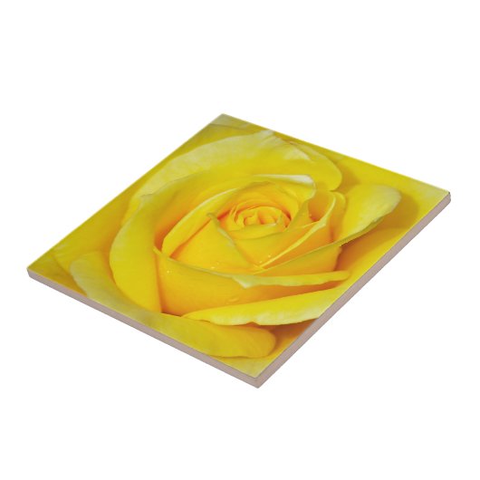 Schöne gelbe Rosenblumenblätter Fliese (Seite)