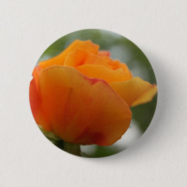 Schöne gelbe Rosenblütenfotografie. Button