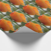 Schöne gelbe Rosenblütenfotografie. Geschenkpapier (Ecke)