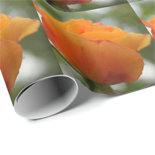 Schöne gelbe Rosenblütenfotografie. Geschenkpapier (Rolleneckpunkt)