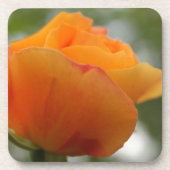 Schöne gelbe Rosenblütenfotografie. Getränkeuntersetzer (Vorderseite)