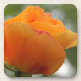 Schöne gelbe Rosenblütenfotografie. Getränkeuntersetzer