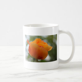 Schöne gelbe Rosenblütenfotografie. Kaffeetasse