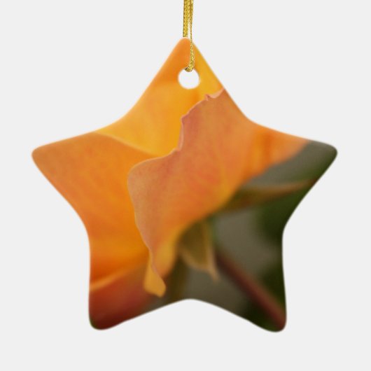 Schöne gelbe Rosenblütenfotografie. Keramik Ornament (Hinten)