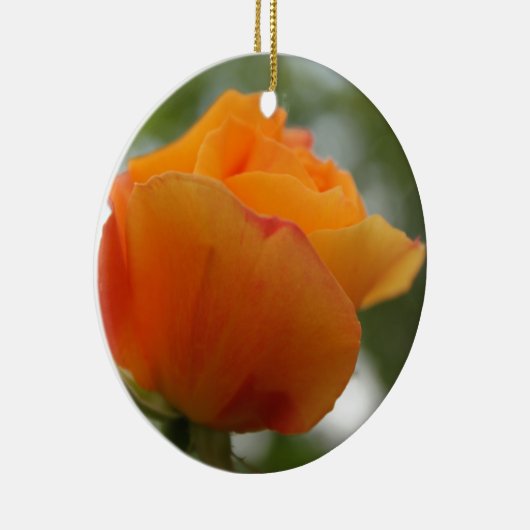 Schöne gelbe Rosenblütenfotografie. Keramikornament (Rechts)