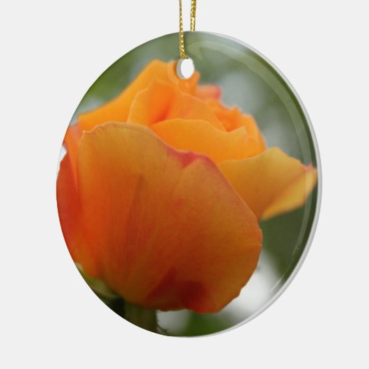 Schöne gelbe Rosenblütenfotografie. Keramikornament (Links)