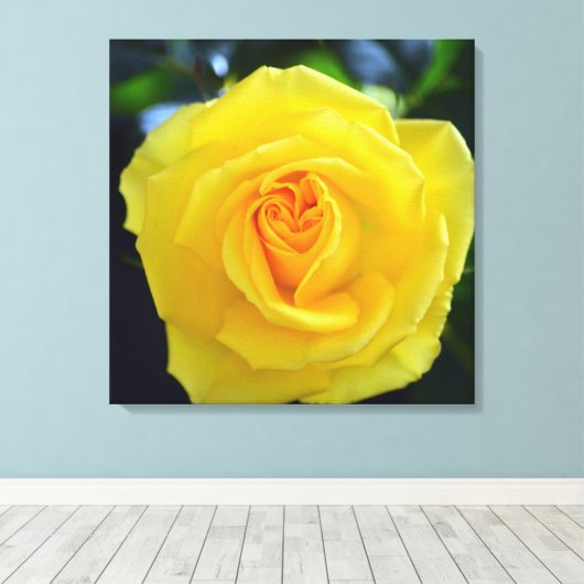 Schöne gelbe Rosenblütenfotografie. Leinwanddruck (Insitu (Holzboden))