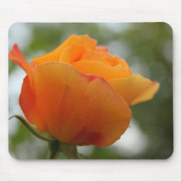 Schöne gelbe Rosenblütenfotografie. Mousepad