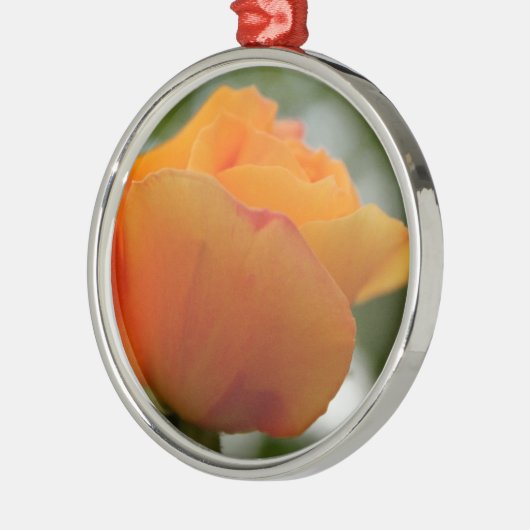 Schöne gelbe Rosenblütenfotografie. Silbernes Ornament (Links)