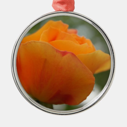 Schöne gelbe Rosenblütenfotografie. Silbernes Ornament (Vorne)