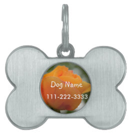 Schöne gelbe Rosenblütenfotografie. Tiermarke