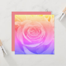 Schöne gelbe Rosenfotografie