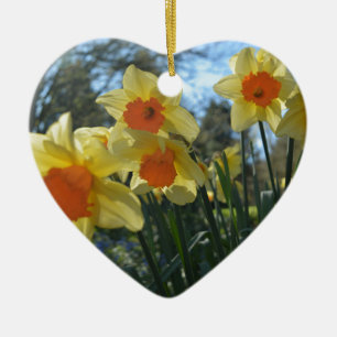 Schöne gelbe und orange Frühlingsnarzissenblumen Keramikornament