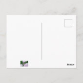 Schöne Gemalte Dame Postkarte (Rückseite)