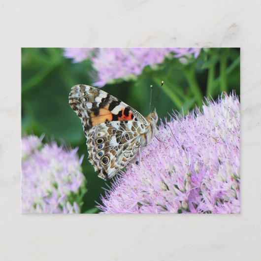 Schöne Gemalte Dame Postkarte (Vorderseite)