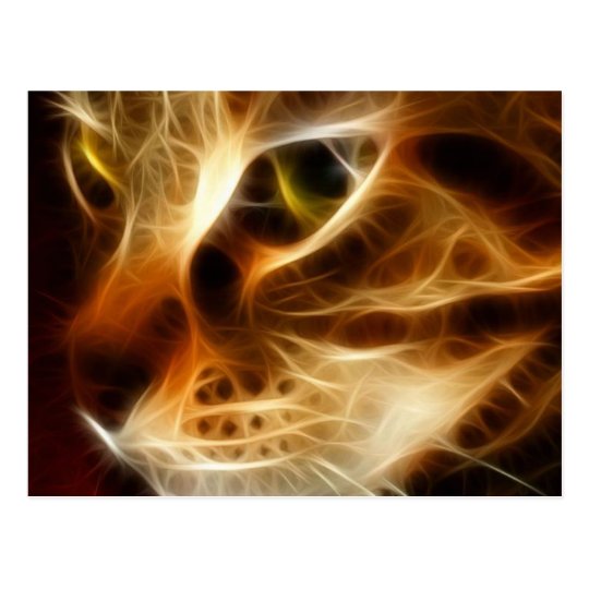 Schone Gespenstische Feuer Katze Postkarte Zazzle De