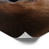 Schöne Giraffe Poster (Ecke)