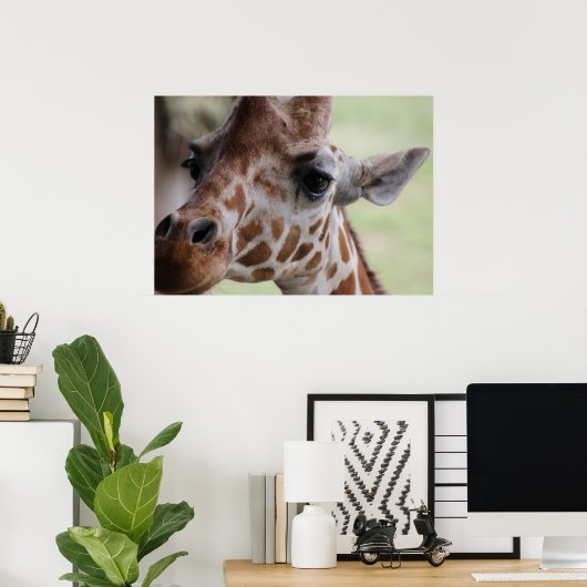Schöne Giraffe Poster (Heimbüro)