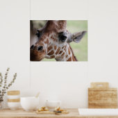 Schöne Giraffe Poster (Küche)