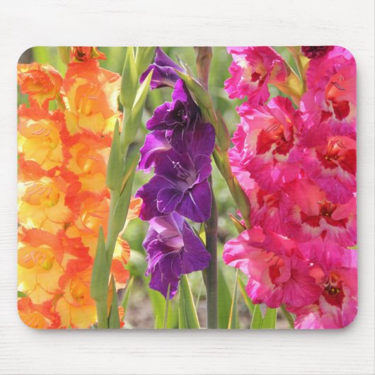 Schöne Gladiolus-Blüte Mousepad (Vorne)