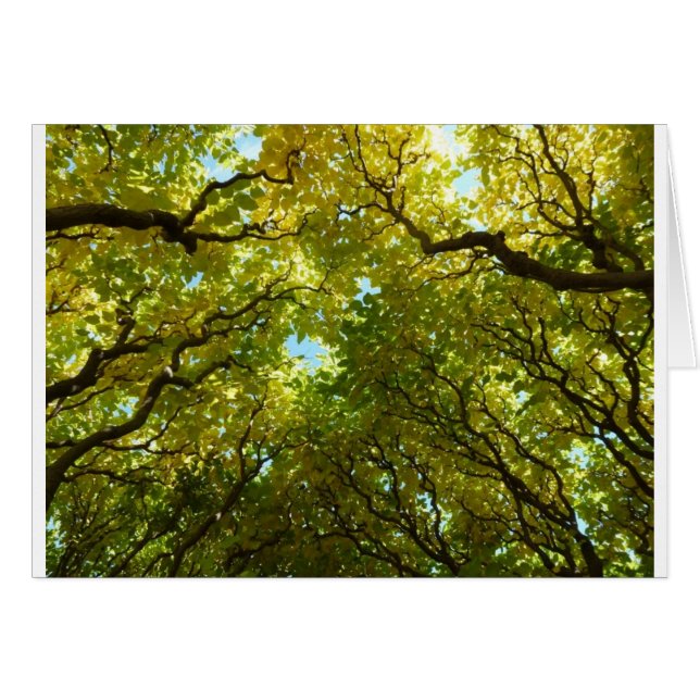 Schöne Goldbaumkarte (Vorderseite (Horizontal))