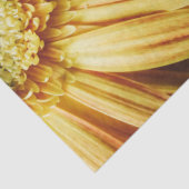 Schöne Goldblume im schwarzen Hintergrund Seidenpapier (Detail)