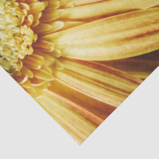 Schöne Goldblume im schwarzen Hintergrund Seidenpapier (Detail)