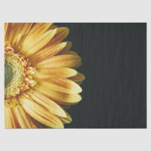 Schöne Goldblume im schwarzen Hintergrund Seidenpapier