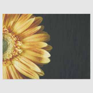 Schöne Goldblume im schwarzen Hintergrund Seidenpapier