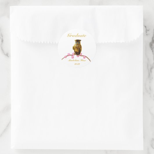 Schöne Golden Owl Graduate Sticker (Tasche)