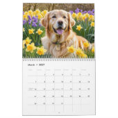 Schöne Golden Retrievers Hunde lieben Wand Kalender (Mär 2027)