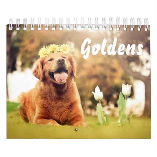 Schöne Golden Retrievers Kalender (Titelbild)