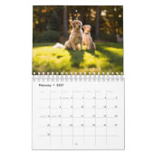Schöne Golden Retrievers Kalender (Feb 2027)